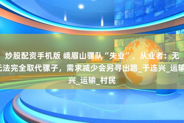 炒股配资手机版 峨眉山骡队“失业”，从业者：无人机无法完全取代骡子，需求减少会另寻出路_于连兴_运输_村民